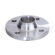 BS Flanges Wellgrow Industries Corp