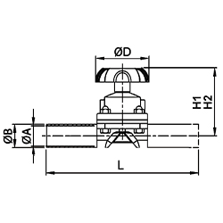 BPE Diaphragm Valve