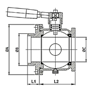 Wine Ball Valve