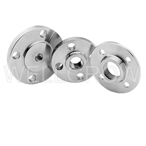 BS Flanges